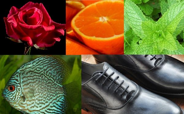 录取通知书须知:世纪大学留学新机遇