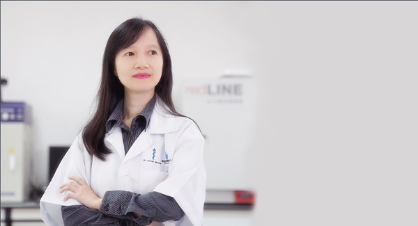 马来西亚世纪大学工商管理理学士(全球商业)学费